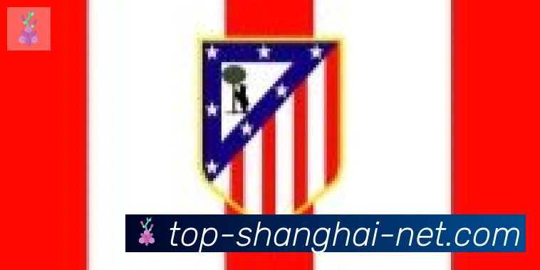 上海体彩合作伙伴